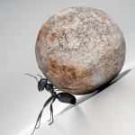 ant and stone
